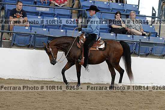Proof Number 10r14_6268