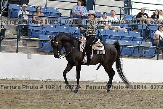 Proof Number 10r14_6272