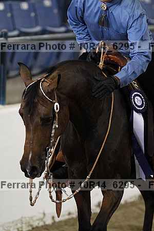 Proof Number 10r14_6295
