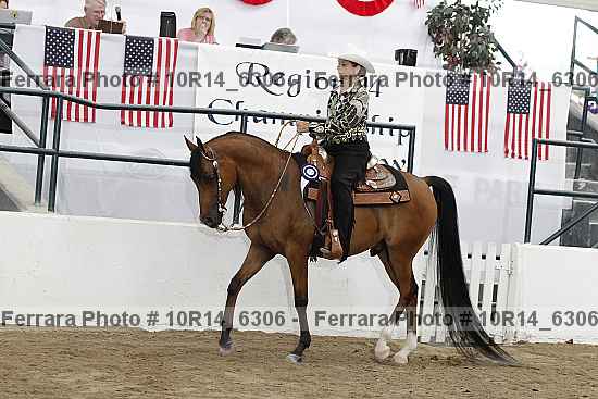 Proof Number 10r14_6306