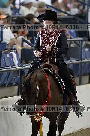 Proof Number 10r14_6309