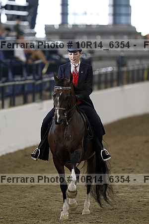 Proof Number 10r14_6354