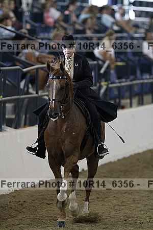 Proof Number 10r14_6356