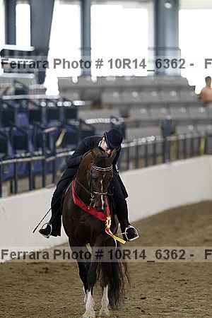 Proof Number 10r14_6362