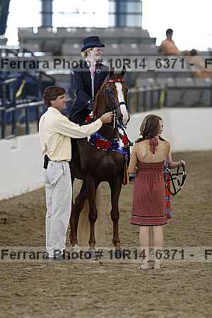 Proof Number 10r14_6371