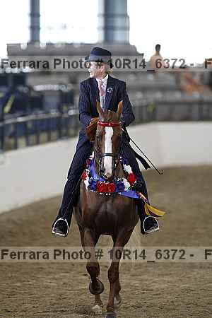 Proof Number 10r14_6372