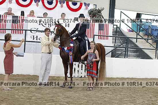 Proof Number 10r14_6374