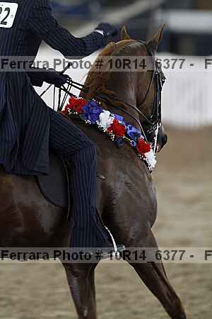 Proof Number 10r14_6377