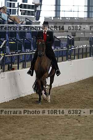 Proof Number 10r14_6382