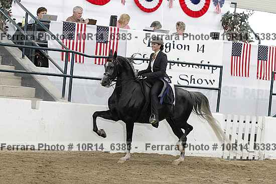 Proof Number 10r14_6383