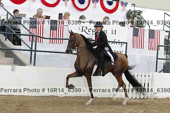 Proof Number 10r14_6390
