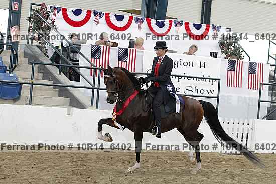Proof Number 10r14_6402