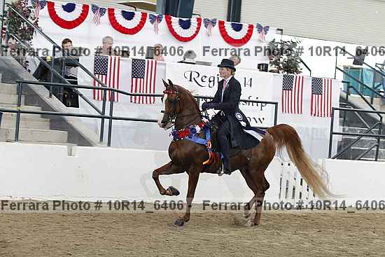 Proof Number 10r14_6406