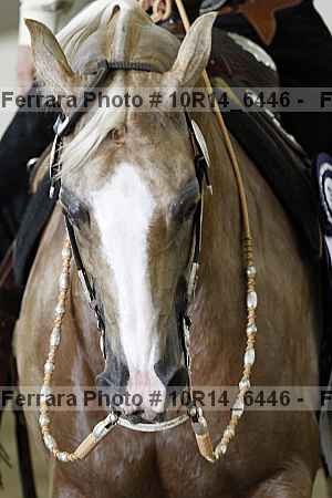 Proof Number 10r14_6446