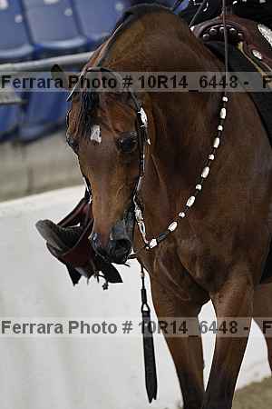 Proof Number 10r14_6448