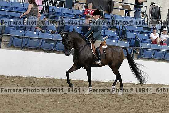 Proof Number 10r14_6461