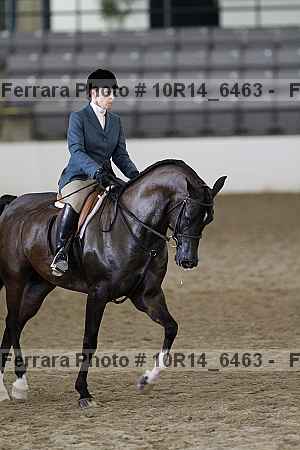 Proof Number 10r14_6463