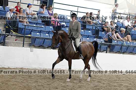 Proof Number 10r14_6464
