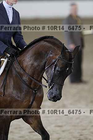 Proof Number 10r14_6475