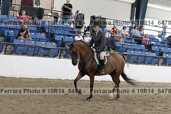 Proof Number 10r14_6478