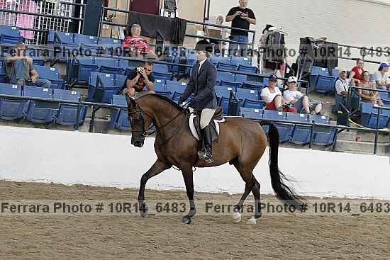 Proof Number 10r14_6483