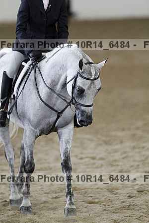Proof Number 10r14_6484