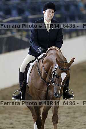 Proof Number 10r14_6486