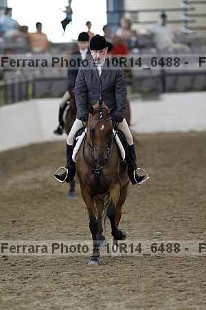 Proof Number 10r14_6488