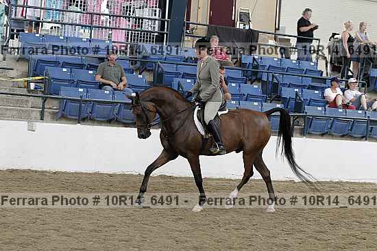 Proof Number 10r14_6491