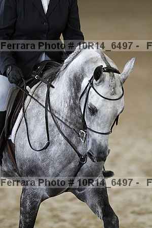 Proof Number 10r14_6497