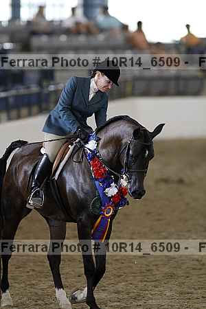 Proof Number 10r14_6509