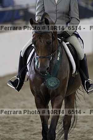 Proof Number 10r14_6514