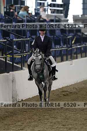 Proof Number 10r14_6520