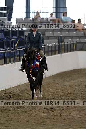 Proof Number 10r14_6530