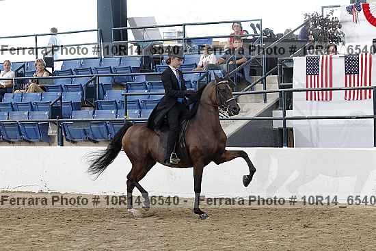 Proof Number 10r14_6540