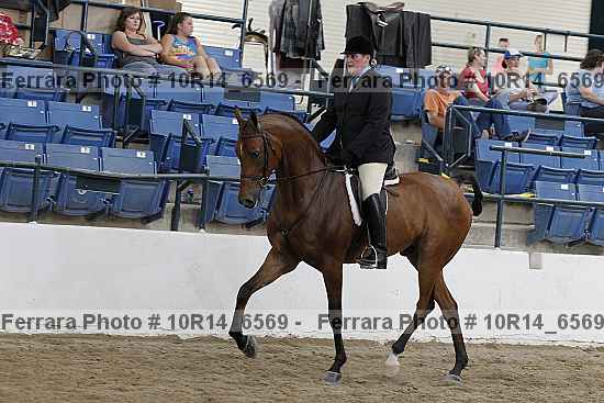 Proof Number 10r14_6569