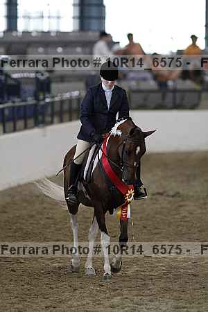 Proof Number 10r14_6575