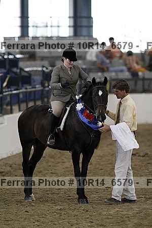 Proof Number 10r14_6579
