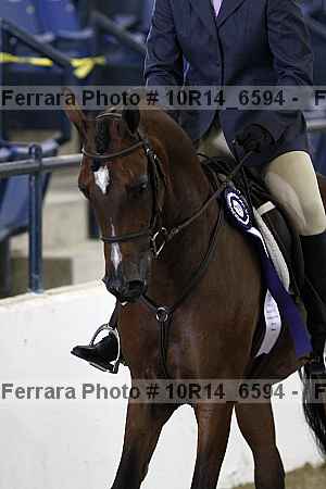 Proof Number 10r14_6594