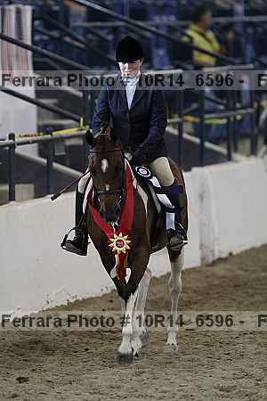 Proof Number 10r14_6596
