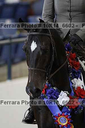 Proof Number 10r14_6602