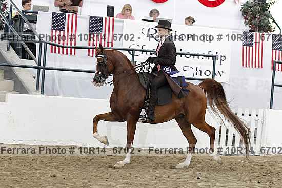 Proof Number 10r14_6702