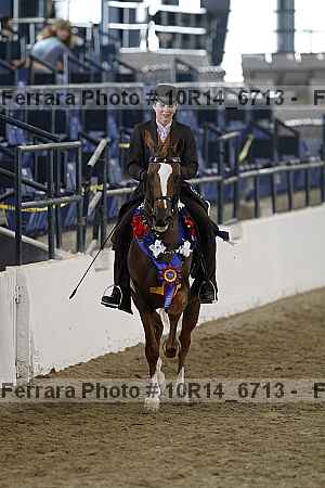 Proof Number 10r14_6713