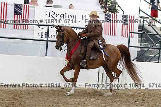 Proof Number 10r14_6714