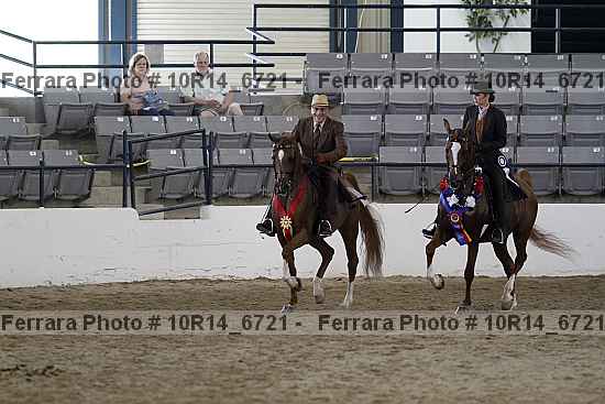 Proof Number 10r14_6721