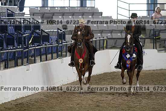 Proof Number 10r14_6723