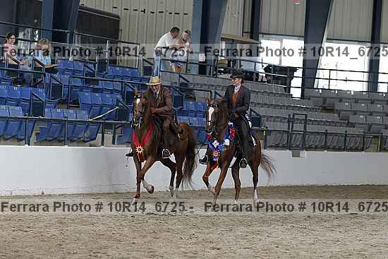 Proof Number 10r14_6725