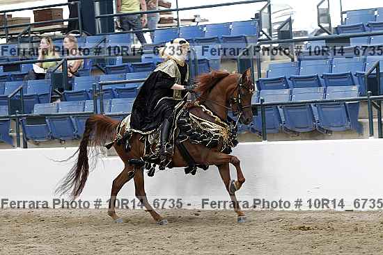 Proof Number 10r14_6735