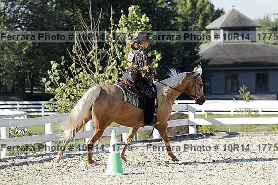 Proof Number 10r14_1775
