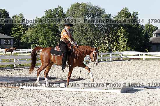 Proof Number 10r14_1790